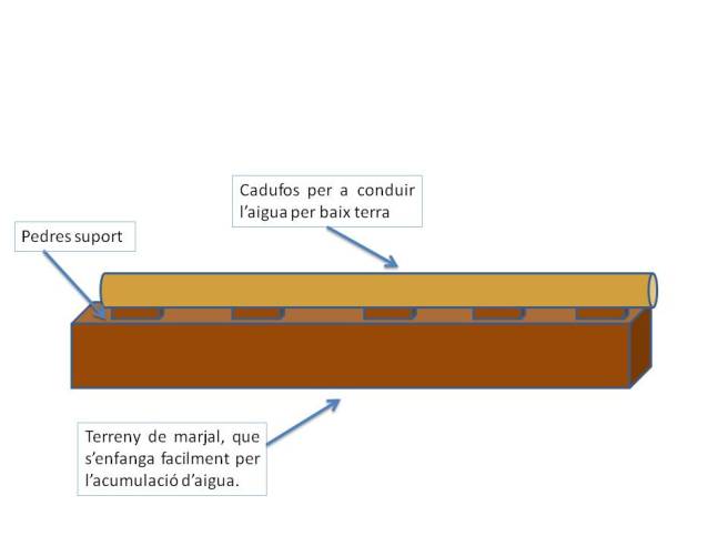 Estructura del caduf